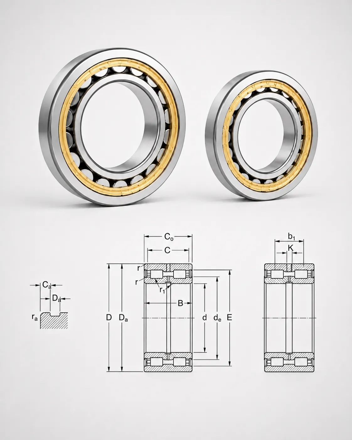 Double Row Cylindrical Roller Bearings