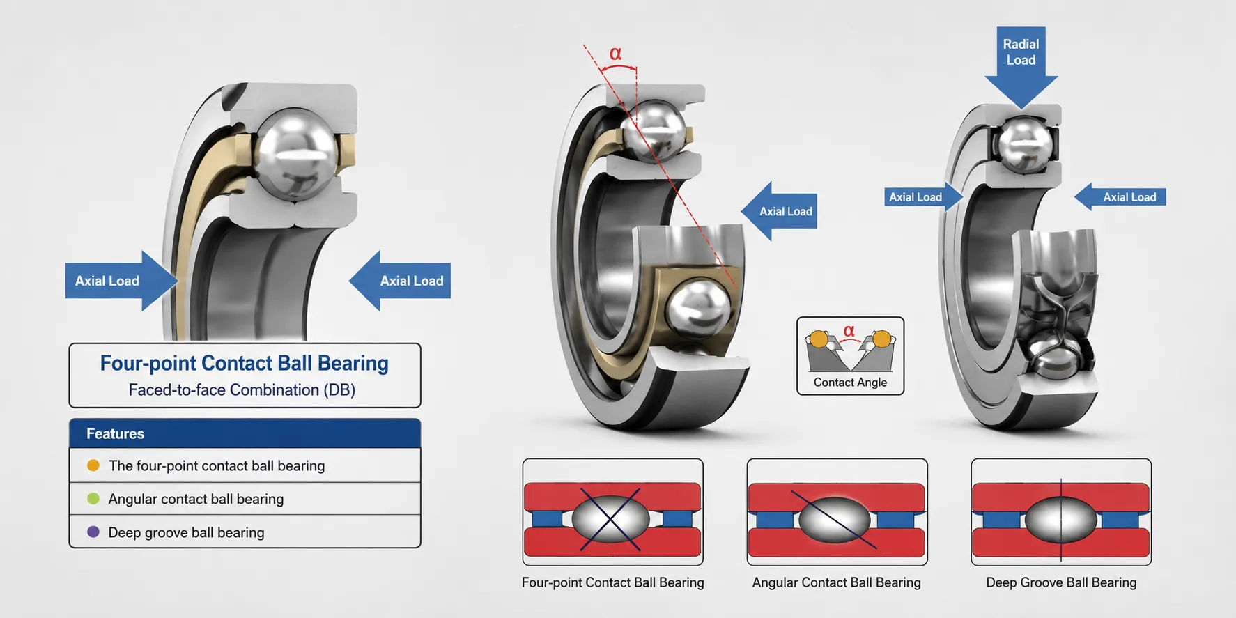 Four-Point Contact Bearing