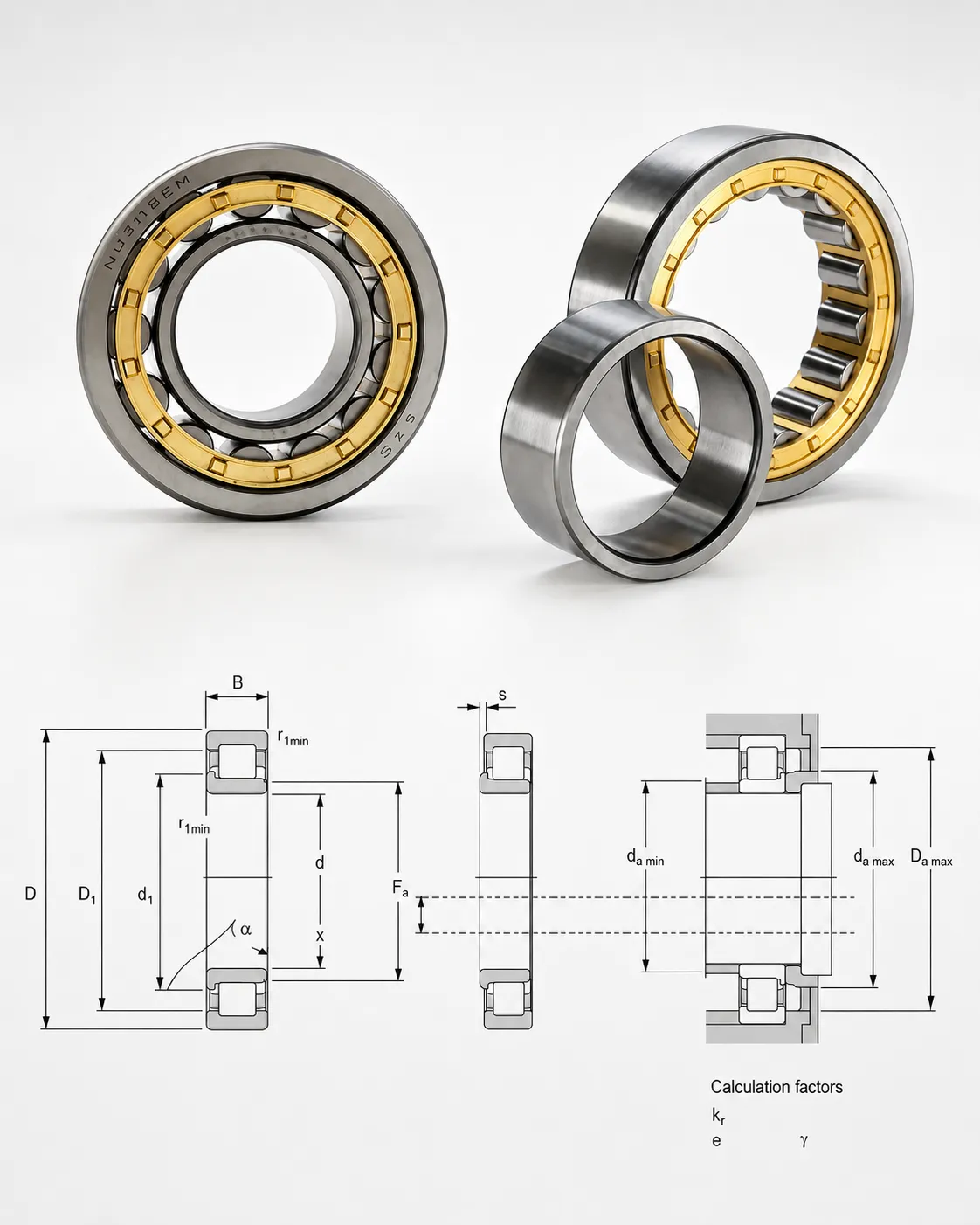 Single Row Cylindrical Roller Bearings
