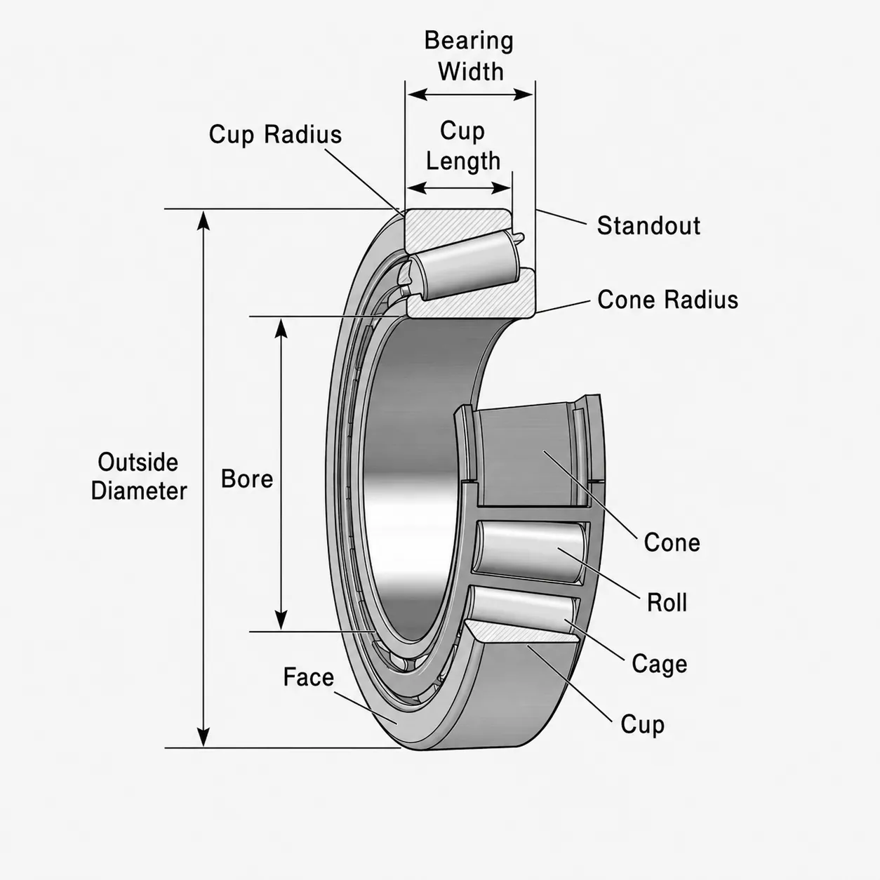 Tapered Roller Bearing Anatomy