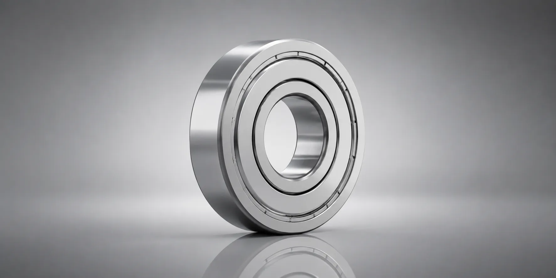 ZZ Shielded Bearing