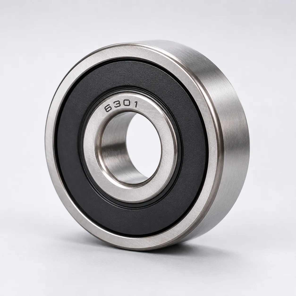 6300 2RS Sealed Bearings